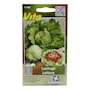 SEMILLAS DE LECHUGA GREAT LAKES 880 0.5 GR VITA