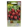 SEMILLAS DE RÁBANO 2.8 GR VITA