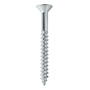 100 TORNILLOS PARA MARA 2 1/2 PULGADAS PLATA