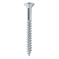 100 TORNILLOS PARA MARA 2 1/2 PULGADAS PLATA