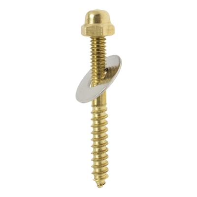 TORNILLOS DE 1/4 X 2 1/2 PULGADAS DORADO FLUIDMASTER 2 PIEZAS