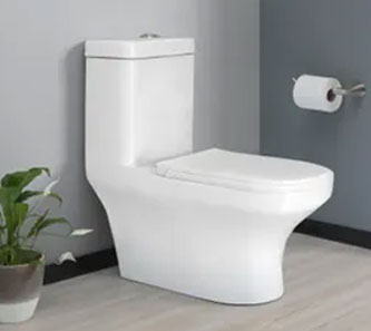 Sanitarios 1 pieza